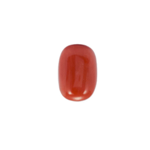 OVAL CABOCHON CUT RED CORAL/MOONGA